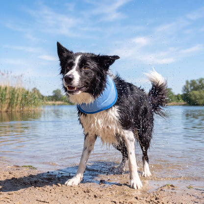 Honden Koelbandje